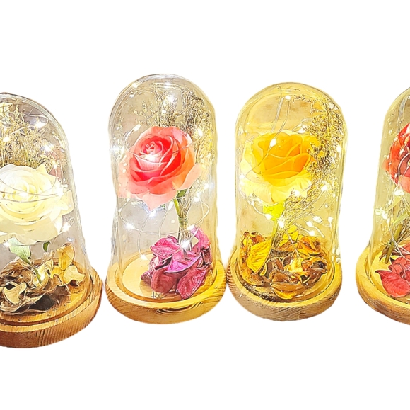 Silk Rose real preserved rose petals with Led Light String batteries Included - Picture 6 of 16